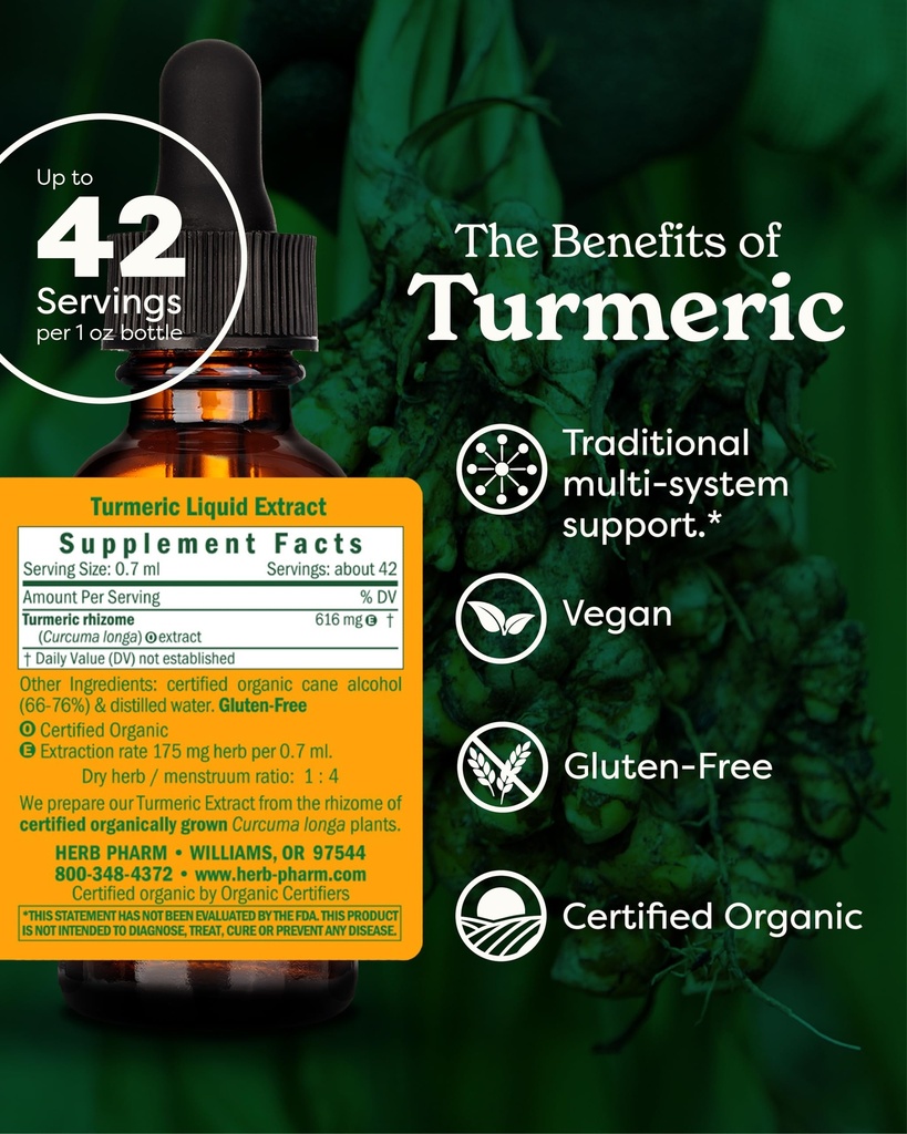 herb-pharm-turmeric-liquid-extract-usda--2.jpg