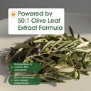 naturebell-olive-leaf-extract-240-capsul-6.jpg