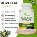 naravis-olive-leaf-extract-50-oleuropein-3.jpg