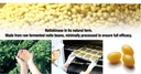 pharmakon-natural-nattokinase-fermented--3.jpg