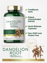 carlyle-dandelion-root-extract-300-capsu-3.jpg