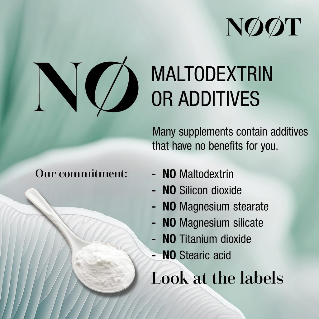 noot-nootropic-mushroom-powder-mushroom--5.jpg