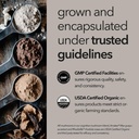 lions-mane-adaptogenic-mushrooms-nootrop-6.jpg