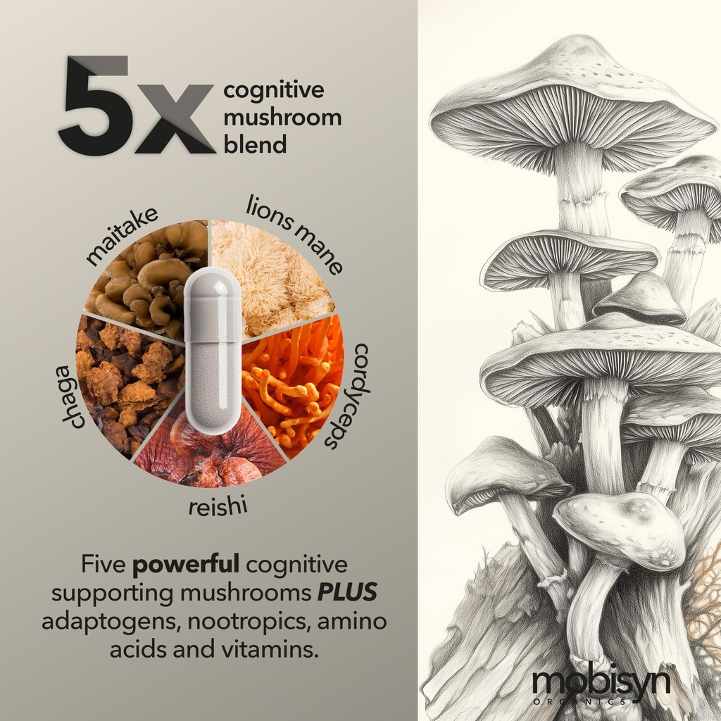 lions-mane-adaptogenic-mushrooms-nootrop-4.jpg