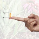 nature-s-answer-dandelion-root-supports--6.jpg