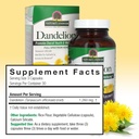nature-s-answer-dandelion-root-supports--3.jpg