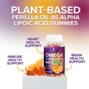 omega-3-6-9-gummies-vegan-omega-3-supple-5.jpg