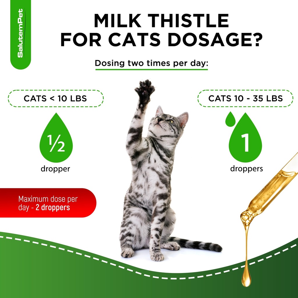 at-kidney-support-milk-thistle-for-cats--5.jpg