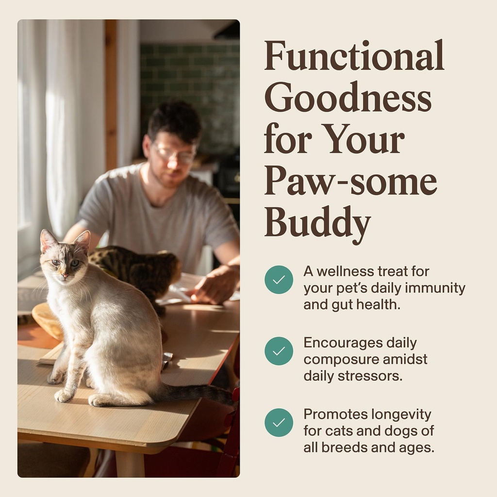 real-mushrooms-pet-defenders-dog-immune--4.jpg