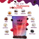 mushroom-gummies-10-in-1-adaptogenic-mus-6.jpg