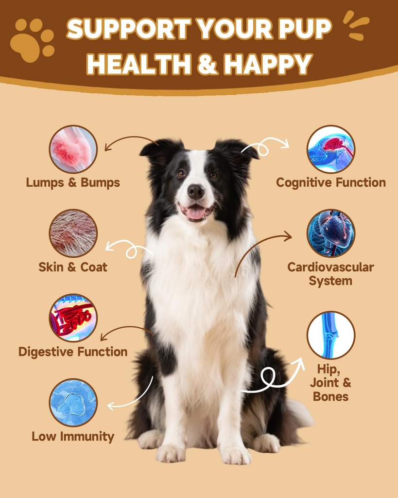 mushrooms-for-dogs-turkey-tail-mushroom--2.jpg