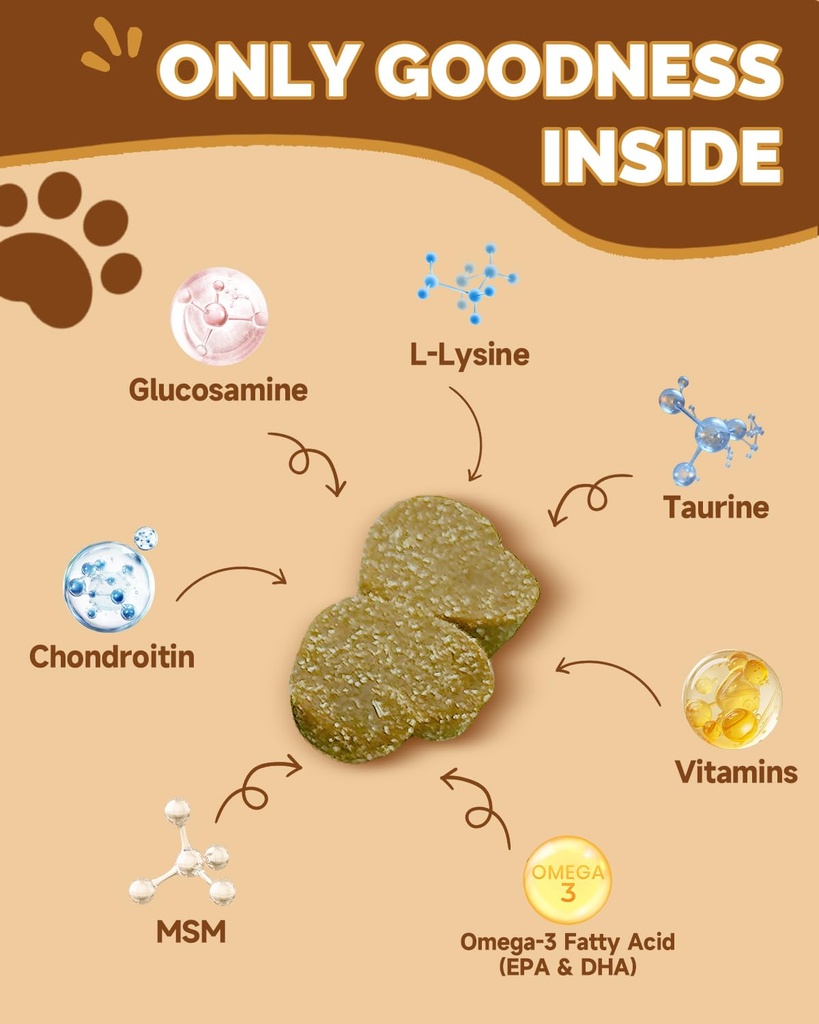 mushrooms-for-dogs-turkey-tail-mushroom--4.jpg
