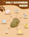 mushrooms-for-dogs-turkey-tail-mushroom--4.jpg