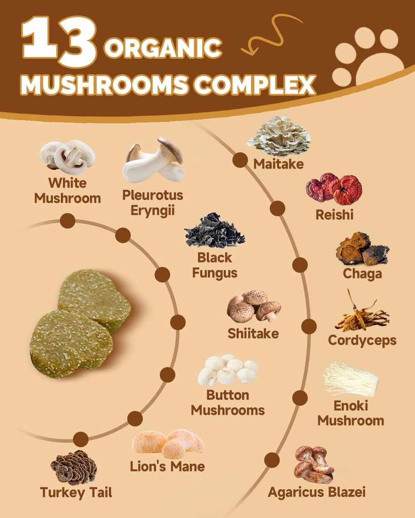 mushrooms-for-dogs-turkey-tail-mushroom--3.jpg