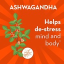 align-probiotic-gut-health-stress-suppor-4.jpg