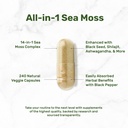 deal-supplement-irish-sea-moss-240-veggi-3.jpg