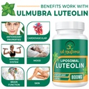 ulmubra-800-mg-liposomal-luteolin-supple-5.jpg