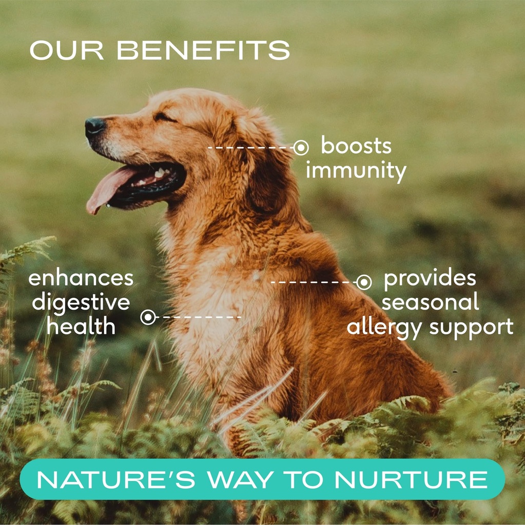 native-pet-the-daily-dog-vitamins-supple-3.jpg