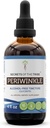 Secrets of the Tribe Periwinkle Alcohol-Free Liquid Extract, Periwinkle (Vinca Major) Dried Herb Tincture Supplement (4 FL OZ)