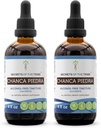Secrets of the Tribe Chanca Piedra Alcohol-Free Tincture Extract, Chanca Piedra (Phyllanthus niruri) Dried Herb Tincture Supplement (2x4 FL OZ)