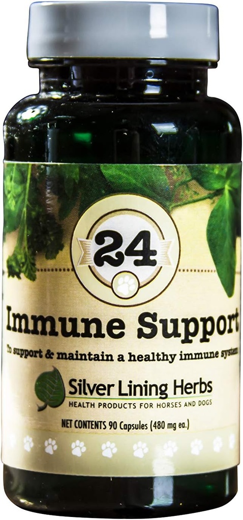 Silver Lining Herbs Dog Immune Support Supplement – Natural Herbal Dog Vitamins – Promotes Strong Immune Defense, Vitality & Overall Wellness – 90 Capsules