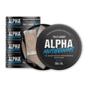 Fully Loaded Alpha Mushrooms - Adaptogen Nootropic Pouches (5-Pack, Mint) - Lion's Mane, Cordyceps, & Chaga - 75 Pouches Total (5 Cans, 15 Pouches per Can) - Functional Mushrooms - Made in the USA