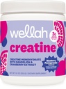 Wellah Creatine for Women - Creatine Monohydrate with Dandelion & Cranberry Extract (50 Servings, Blueberry Pomegranate)