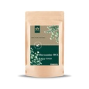 Blessfull Healing Glucosamine HCL Powder 100% Pure Natural 100 Gram / 3.52 oz