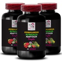 ADAPTOGEN COMPLEX - ashwagandha powder capsules, panax ginseng herbal support, astragalus herb complex, holy basil extract formula, rhodiola rosea root supplement, maca root daily formula 3Bot