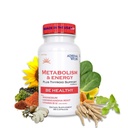Adrenalwork Adrenal Support Supplement - Organic Ashwagandha Capsules for Stress Relief, Calm Energy & Focus - Adaptogen Blend with Rhodiola & Holy Basil - Men & Women - 60 Capsules