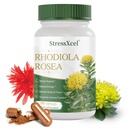 Rhodiola Rosea Supplement – Golden Root Adaptogen Capsules, Rhodiola Rosea Extract Powder Alternative with Salidroside for Stress Support, Mood Balance, Energy, Focus & Performance, 90 Capsules