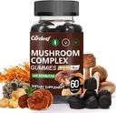 9 in 1 Mushroom Gummies with Lion's Mane for Focus Supplement and Energy Supplements to Support Immune System De-Stress Boost Mood & Energy 60 Count Kombucha Flavor