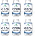 Best Earth Naturals Six Pack of Catalase 10,000 Formula Enzyme Supplement with Saw Palmetto, Biotin, Fo-Ti, PABA - Hair Supplements for Strong Hair - 360 Capsules (180-day Supply)
