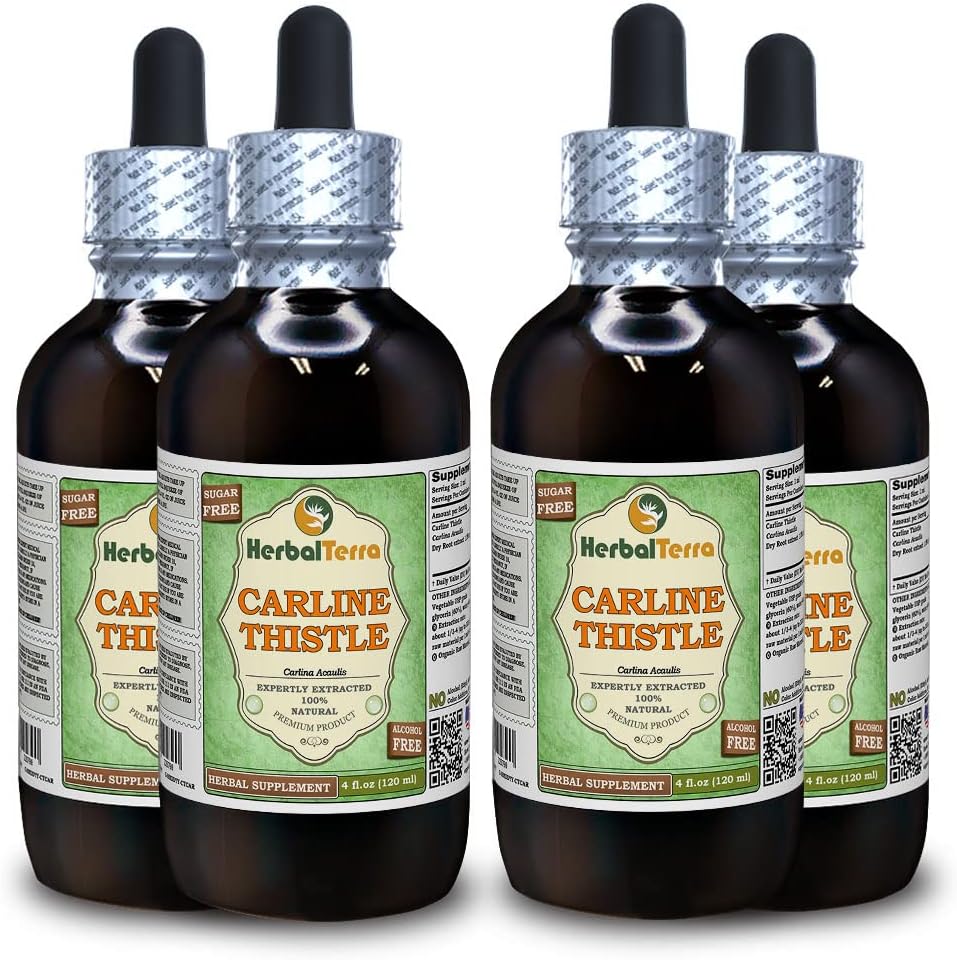 Carline Thistle (Carlina acaulis) Glycerite, Dried Roots Alcohol-Free Liquid Extract (Brand Name: HerbalTerra, Proudly Made in USA) 4x4 fl.oz (4x120 ml)