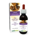 Naturalma Chaga (Inonotus obliquus) Mushroom Alcohol-Free Tincture - 4 fl oz Liquid Extract in Drops - Herbal Supplement - Vegan
