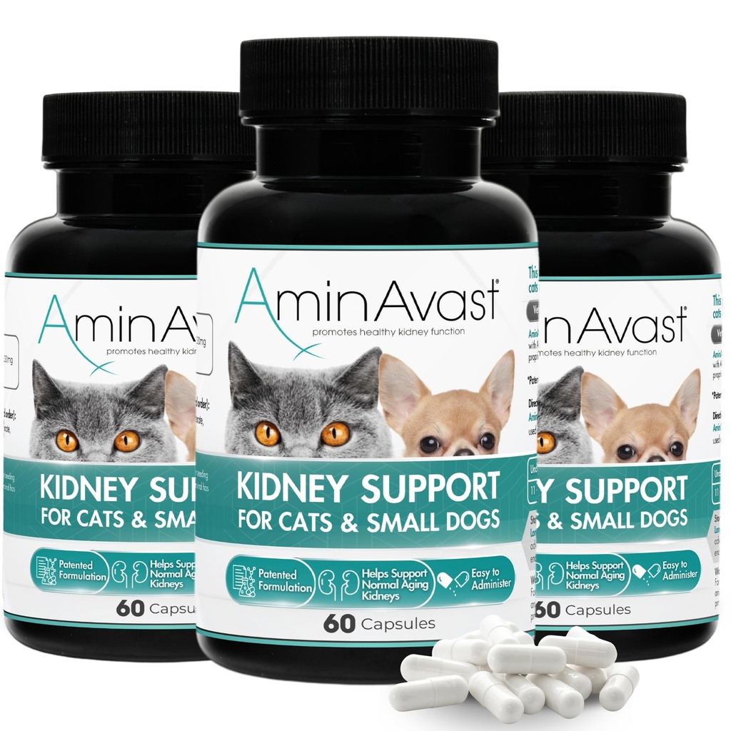 AminAvast Kidney Support for Cats & Small Dogs, 300 mg, 3-Pack, 60 Capsules