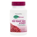 NaturesPlus Herbal Actives Red Yeast Rice + CoQ10 Extended Release - 30 Tablets, Pack of 2 - Antioxidant + Supports General Well-Being - Vegetarian, Gluten Free - 60 Total Servings