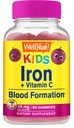 WellYeah Iron Gummies for Kids with Vitamin C - Anemia Support, Red Blood Cell Formation, Energy, and Immunity Support Gummy, Iron Supplements for Kids - GMO Free, Natural Grape Flavor - 60 Count
