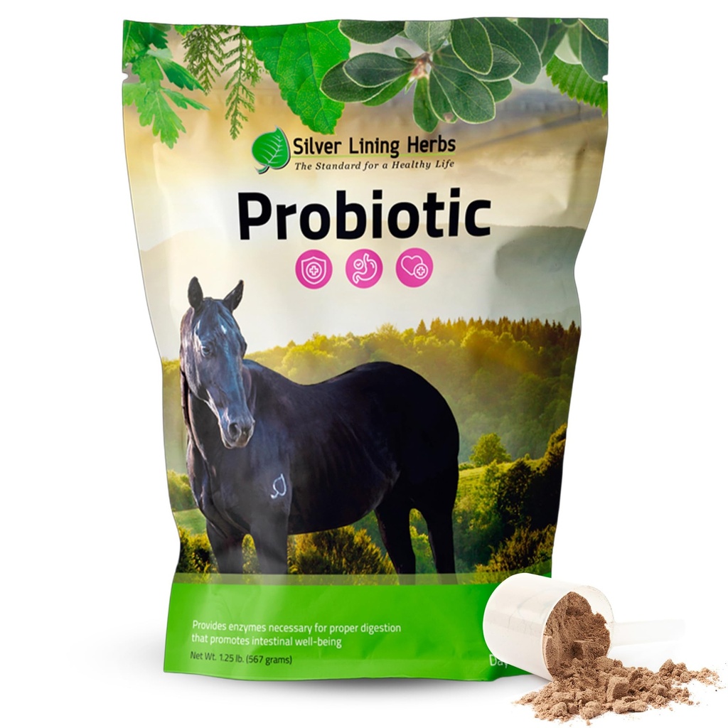 Horse Probiotics Digestive Supplement - 1.25 lb | Horse Probiotics, 13.2B CFU With Lactobacillus & Bifidobacterium, Digestive Enzyme & Gut Health, NASC Certified, Made in USA