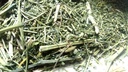 Ancient Indian Ayurvedic Herb Swertia,Chirayata, chirata from Sanaa Zesty (4)