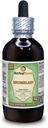 Bromelain (Ananas Comosus) Glycerite, Dried Powder Alcohol-Free Liquid Extract (Brand Name: HerbalTerra, Proudly Made in USA) 4 fl.oz (120 ml)