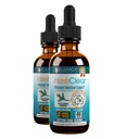 Rejuvica Health IntestiClear Liquid Intestinal Support Supplement – Herbal Digestive Support with Wormwood, Cloves, Black Walnut, Garlic & Ginger – Fast Absorption Alcohol-Free Drops for Gut Health