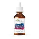 Herbal Goodness Bitter But No Crap Liquid Supplement for Body Cleanse, Energy Support and Health Boost | Non-GMO Burdock Root Organic, Bitter Melon, Maca Root, Dandelion Root - 2 fl. oz per Bottle