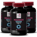 Eye support - EYE VISION SUPPLEMENT - Lens clarity, Focus sharpener, Bright scenes, Eye sharpness, Crystal clear sight, Visual boost, Focus support, Clearer vision, Focus advantage 3 Bottle 180 Caps