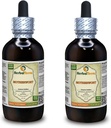 Motherwort (Leonurus Cardiaca) Tincture, Organic Dried Herb Liquid Extract (Brand Name: HerbalTerra, Proudly Made in USA) 2x4 fl.oz (2x120 ml)