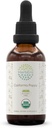 HerbEra California Poppy B60 USDA Organic Tincture | High-Potency Herbal Drops, Alcohol-Free Extract | Certified Organic California Poppy (Eschscholzia Californica) Dried Herb and Flower 2 fl oz