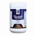 ifer 16-Hour Chocolate Collagen Protein/Type I, II, III Collagen / 15 Grams Vegan Protein / 18 Added Amino Acids/MCT Oil/Approved for Intermittent Fasting/Digestive Enzymes / 500 Grams