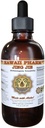 Jing Jie Tincture, Jing Jie, Schizonepeta (Schizonepeta Tenuifolia) Herb Liquid Extract, Herbal Supplement 2 oz