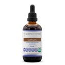 Secrets of the Tribe Garlic USDA Organic | Alcohol-Free Extract, High-Potency Herbal Drops | Made from 100% Certified Organic Allium Sativum Dried Bulb (4 oz)