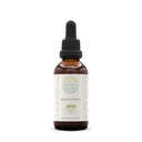 Chanca Piedra B60 Alcohol-Free Herbal Extract Tincture, Concentrated Liquid Drops Natural Chanca Piedra (Phyllanthus niruri) Dried Herb (2 fl oz)